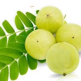 pineal xt ingredients