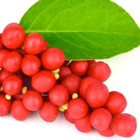 pineal xt supplement ingredients list